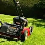 How short should you cut grass in Florida?