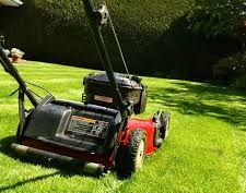 How often should you mow your lawn in Florida?