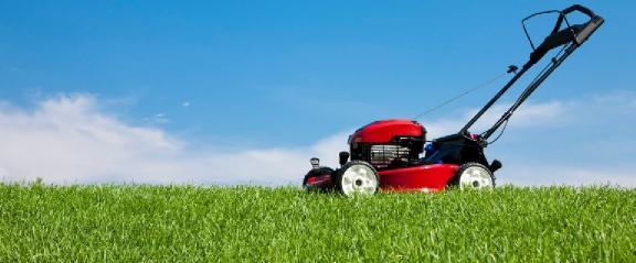  How short should you cut grass in Florida?