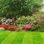 What are the common steps in preparing a landscape plan