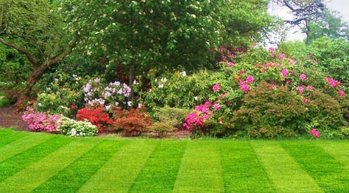 What is the process of landscaping?
