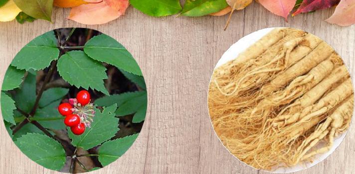 What are the health benefits of ginseng?