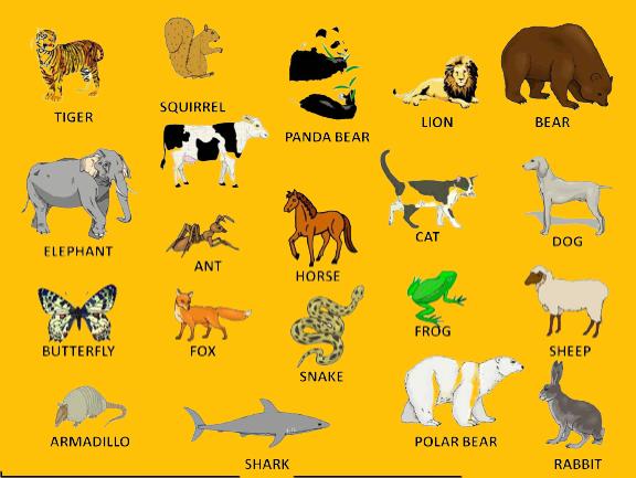 What are the names of animals from A to Z?