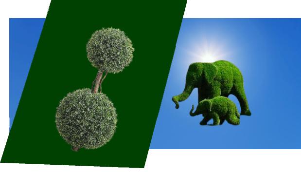 What do you call a topiary person?