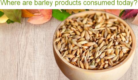 Where are barley products consumed today?