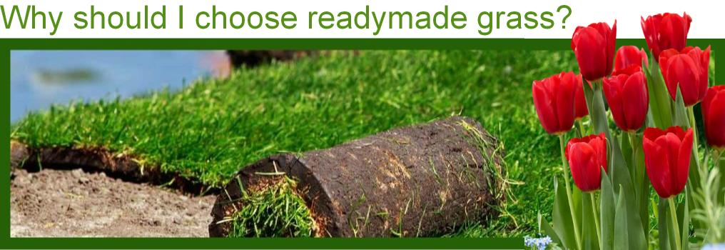 Why should I choose readymade grass?